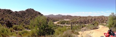 Phoenix desert