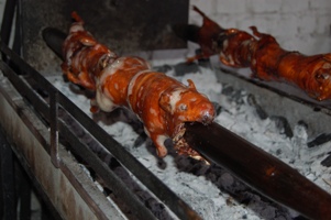 Where do they eat guinea pigs top