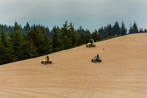 Dune buggies cruising up and down the dunes.