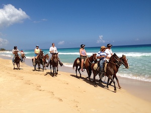 macao_horses