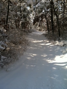 snowy_trail