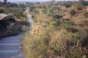 aravali_path