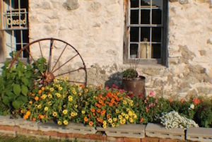 flowers_and_wheel
