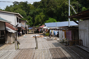 borneo_walkway