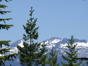 squamish_gondola1