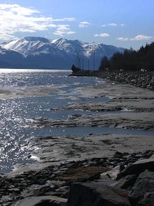 cook_inlet