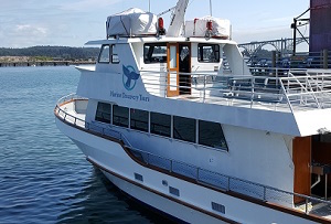 marine_discovery_tours_boat