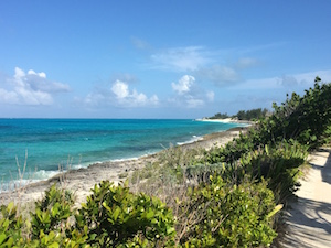 beach_reef_atlantic_ocean