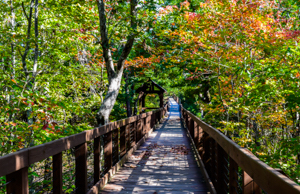 csp_bald_rock_trail_boardwalk_al