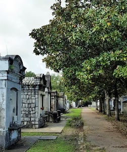 magnolia_lined_avenue_lafayette_Cemetery LR