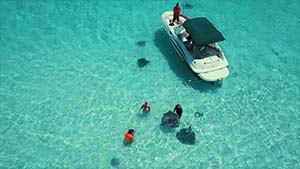 drone_footage_stingray_city