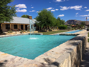 reflection in the pool