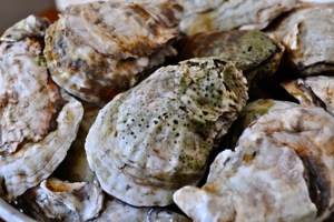 Elm Street Oyster House Selection_Greenwich CT_ BY KDEVLIN