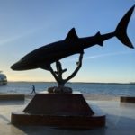 Shark Statue, by Anderson