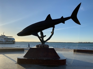 Shark Statue, by Anderson